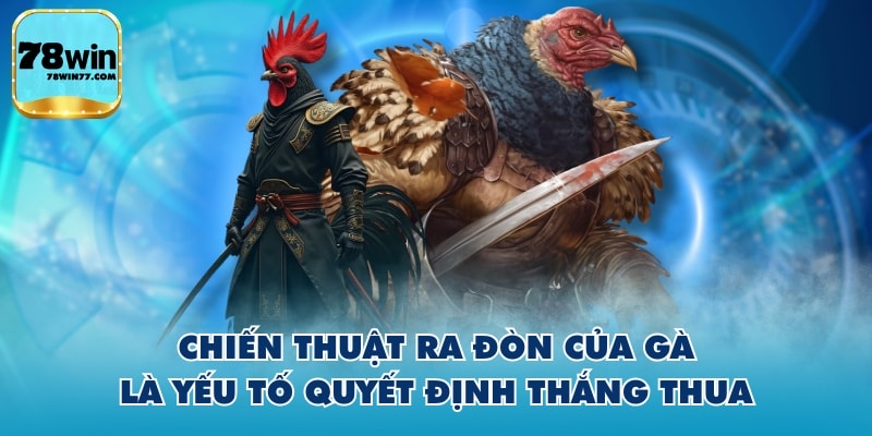 Chiến thuật ra đòn của gà là yếu tố quyết định thắng thua